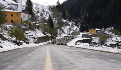 Rize’nin yaylalarından kartpostallık görüntüler