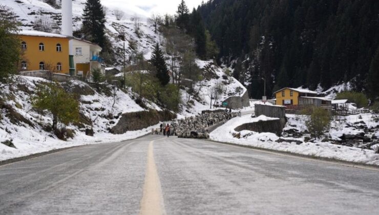 Rize’nin yaylalarından kartpostallık görüntüler