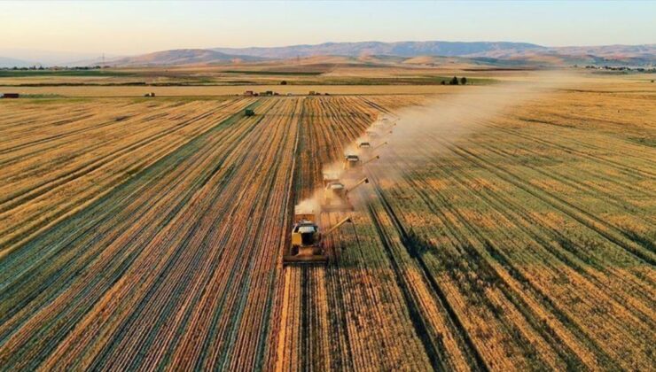 TARSİM’den çiftçilere 72,5 milyar lira hasar tazminatı ödendi