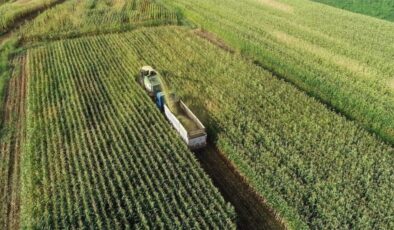 Türk tarım ürünleri için İngiltere pazarında yeni fırsatlar yolda