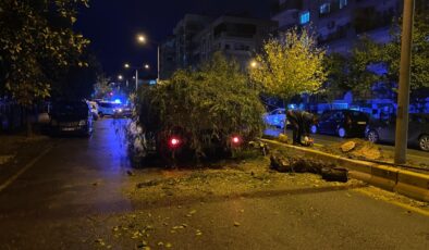 Aydın’da devrilen ağaç, yolu trafiğe kapattı