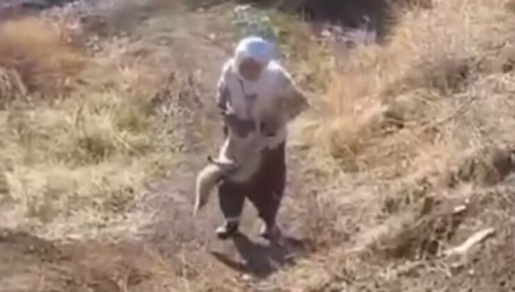 Batman’da tavuklarını çalan tilkiyi elleriyle yakaladı