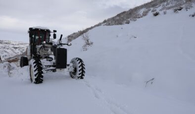 Bingöl’de 88 köy yolu kardan kapandı