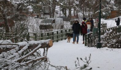 Bolu Abant Gölü Milli Parkı’na ziyaretçi akını