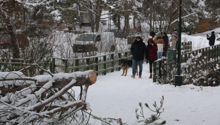 Bolu Abant Gölü Milli Parkı’na ziyaretçi akını