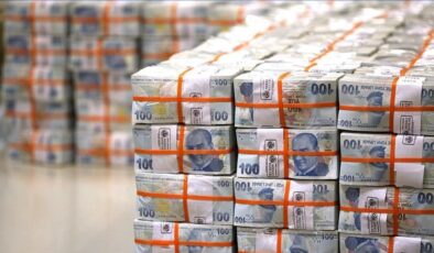 Bütçe 2024 Kasım’da 16,6 milyar TL açık verdi