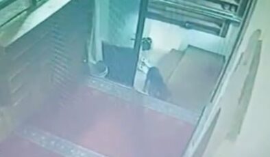 Denizli’de camiye giren köpek bir kişinin ayakkabısını alarak kaçtı