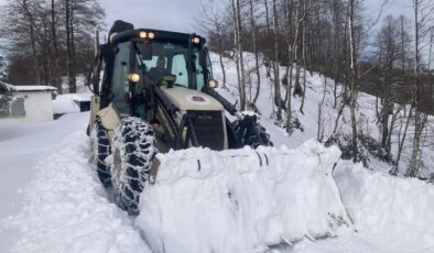 Doğu Karadeniz’de karla mücadele
