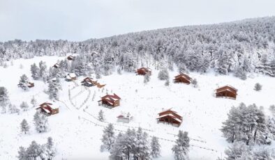 Erzincan Dumanlı Tabiat Parkı’ndan kış manzaraları
