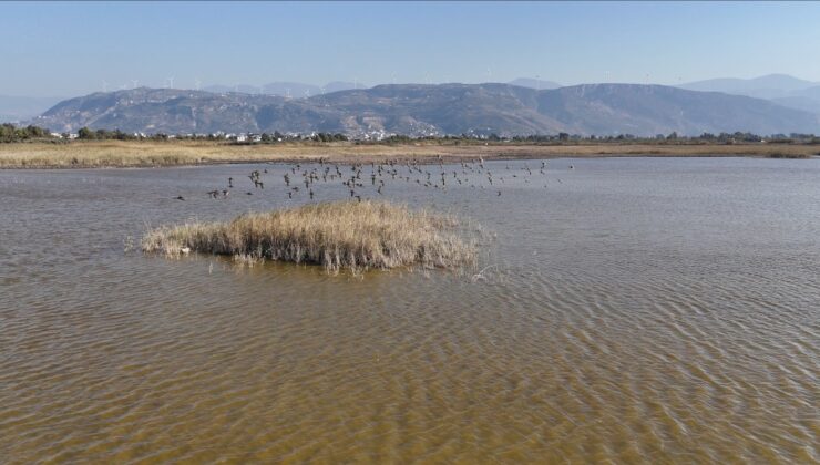 Hatay Milleyha Sulak Alanı’nda yağışlar etkisini gösterdi