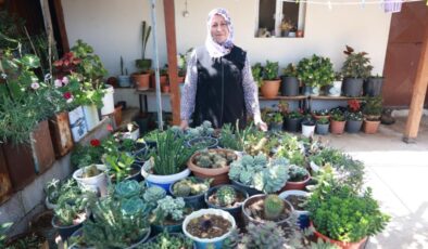 Hatay’da evini çiçeklerle donattı