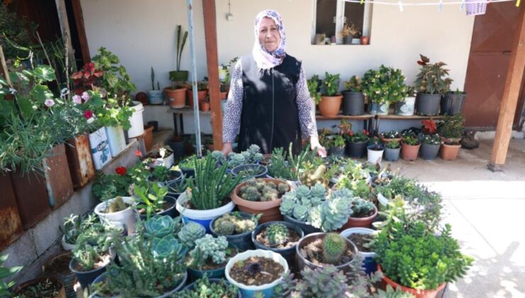 Hatay’da evini çiçeklerle donattı