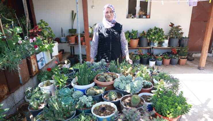 Hatay’da evinin etrafını çiçeklerle donattı: 500 farklı tür çiçek büyüttü