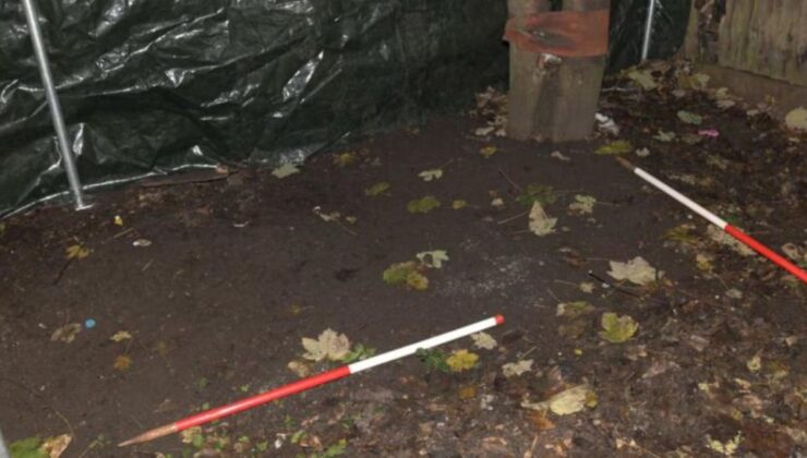 İngiltere’de bir çift oğullarına ‘vegan diyeti’ uygulayarak ölümüne yol açtı