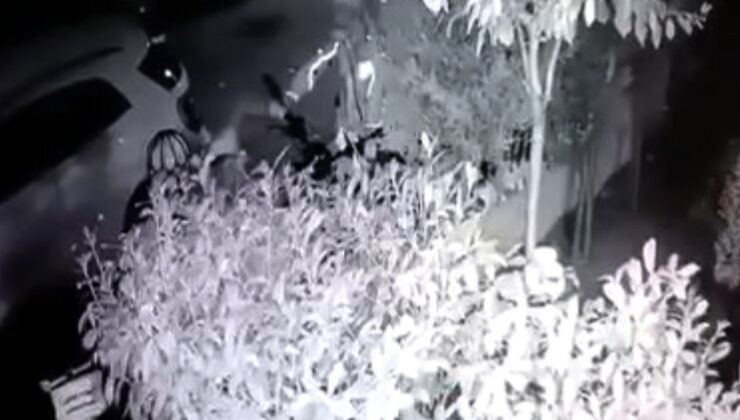 İstanbul’da park alindeki motor çalındı