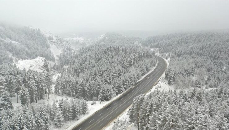 Kars, Sarıkamış’ta Sarıçam ormanları beyaza büründü