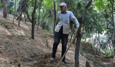 Mardin’de 75 yaşında 30 binden fazla fidan dikti