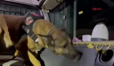 Osmaniye’de kasım ayının en başarılısı Narkotik köpeği ‘Pars’ oldu