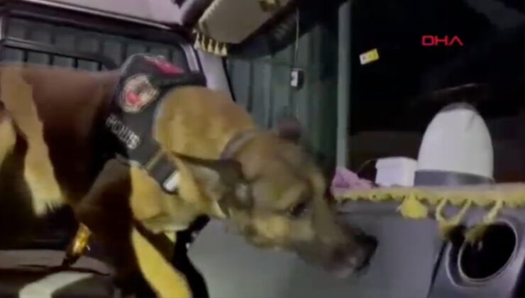 Osmaniye’de kasım ayının en başarılısı Narkotik köpeği ‘Pars’ oldu