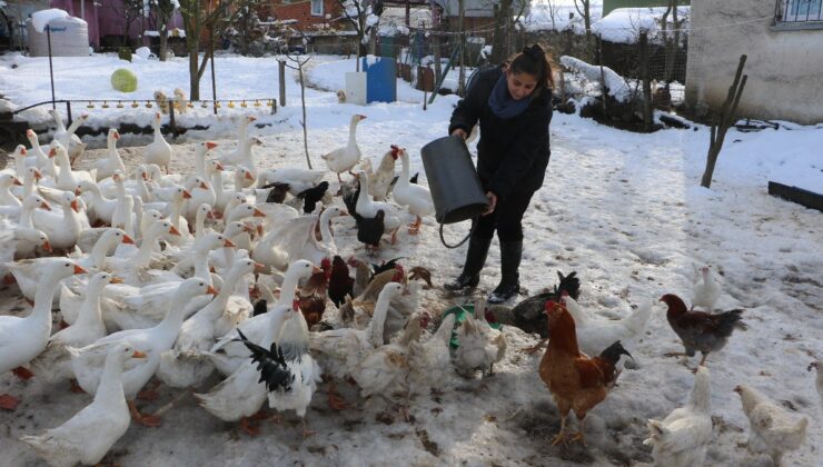 Samsun’da hayalleri için köye yerleşti