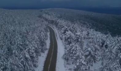 Samsun’da ormanlar beyaz örtüyle kaplandı