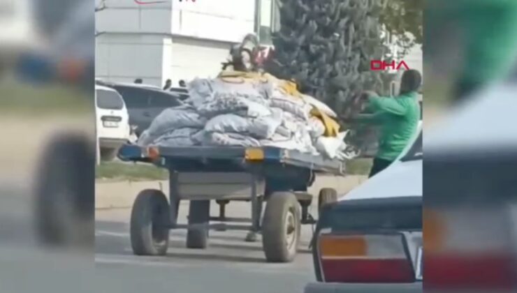 Şanlıurfa’da yük taşıyan ata eziyet anları tepki çekti