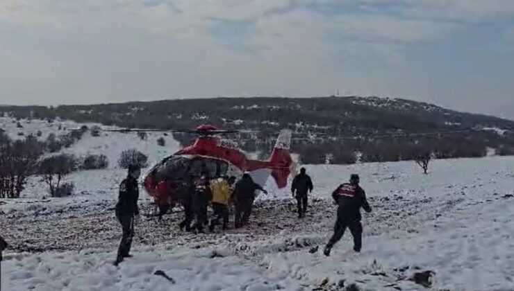 Sivas’ta yürüyüş yaparken ayı saldırısına uğradı