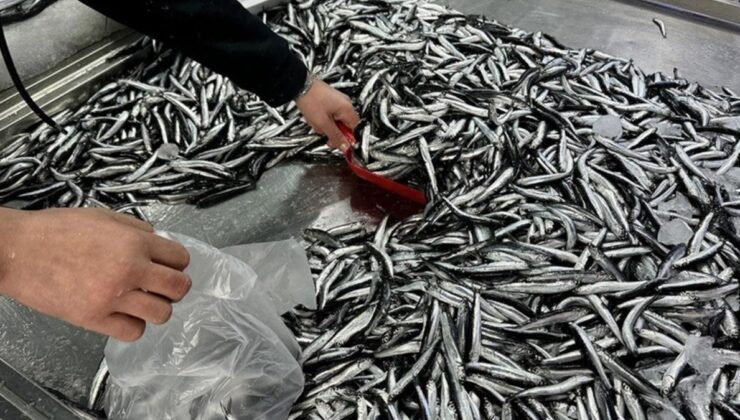 Tarım ve Orman Bakanlığı: Bu yıl 144 bin su ürünü denetimi yapıldı