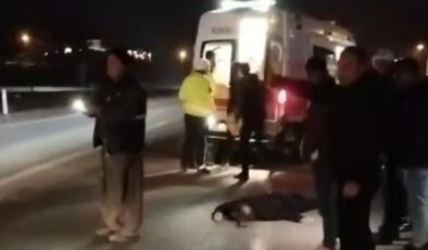 Tokat’ta taziyeye giderken minibüsün çarptığı 1 kişi öldü