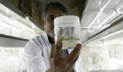 Türkiye’de 2023’te 4 bin kişi biyoteknoloji faaliyetlerinde çalıştı