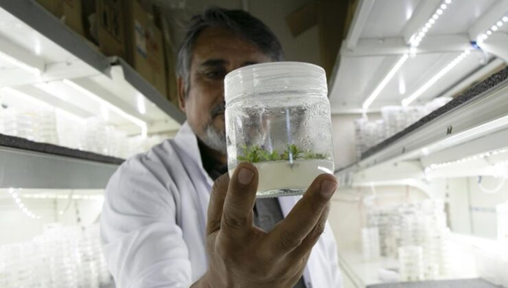 Türkiye’de 2023’te 4 bin kişi biyoteknoloji faaliyetlerinde çalıştı