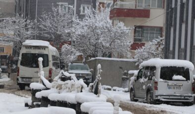 Van’da kar etkili oldu: 131 yerleşim yeri ulaşıma kapandı