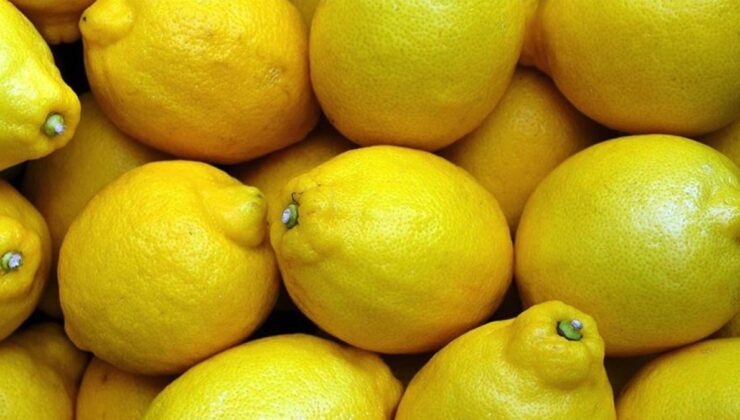 2024’te üretici ve market arasındaki fiyat farkında limon zirvede