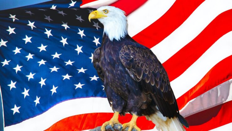 ABD, “kel kartalı” ulusal kuş ilan etti