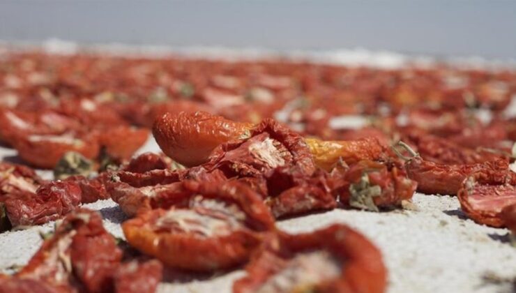 Almanya, İngiltere ve ABD, Türkiye’nin kuru domatesine bayıldı