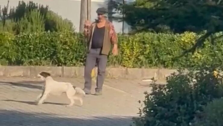 Bartın’da oltaya bağladığı güvercinle köpeğini eğitti