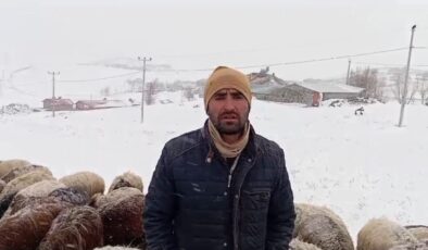 Bitlis’te hayvan yetiştiricilerinin zorlu mesaisi