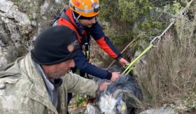 Burdur’da dağlık alanda mahsur kalan keçi kurtarıldı