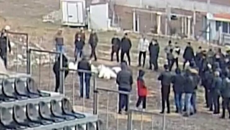 Çorum’da spora giden savcı, kaz dövüşü yaptıranları görüp ihbar etti