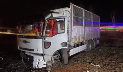 Çorum’da tarlaya uçan kamyonun sürücüsü yaralandı