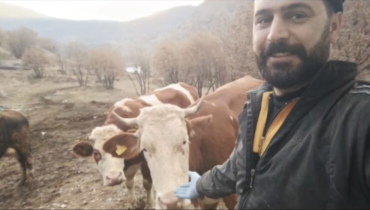 Elazığ’da besicinin inekleriyle olan dostluğu gülümsetti