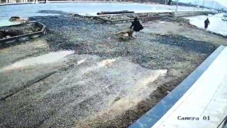 Gaziantep’te sokak köpeğinin küçük çocuğa saldırı anları güvenlik kamerasına yansıdı