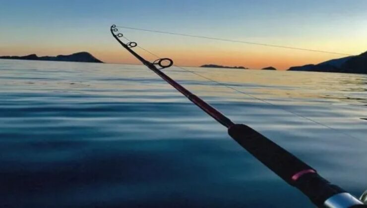 İstanbul Boğazın’da balık tutmak isterken tilki yakaladılar