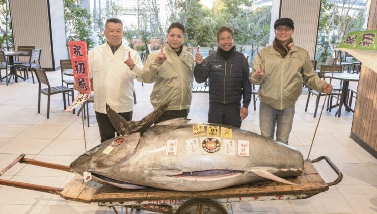 Japonya’da 276 kiloluk mavi yüzgeçli orkinos 1,3 milyon dolara satıldı