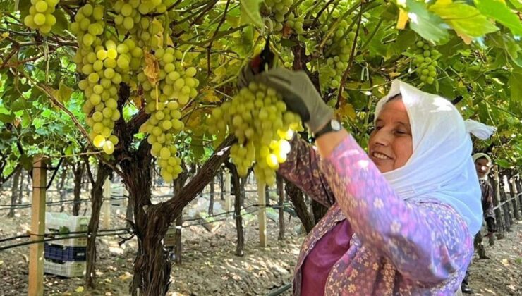 Manisa Sarıgöl’de kadın işçi yevmiyeleri 100 TL zamlandı