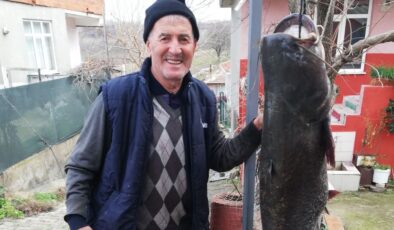 Meriç Nehri’nde 77 kilo ağırlığında yayın balığı yakaladı
