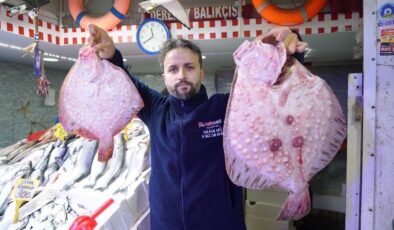 Samsun’da denizlerin altını kalkan balığının kilosu 1.200 TL