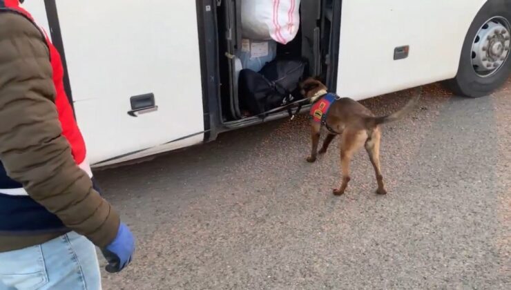 Şanlıurfa’da yolcu otobüsünde 14 kilo esrar ele geçirildi: 2 gözaltı