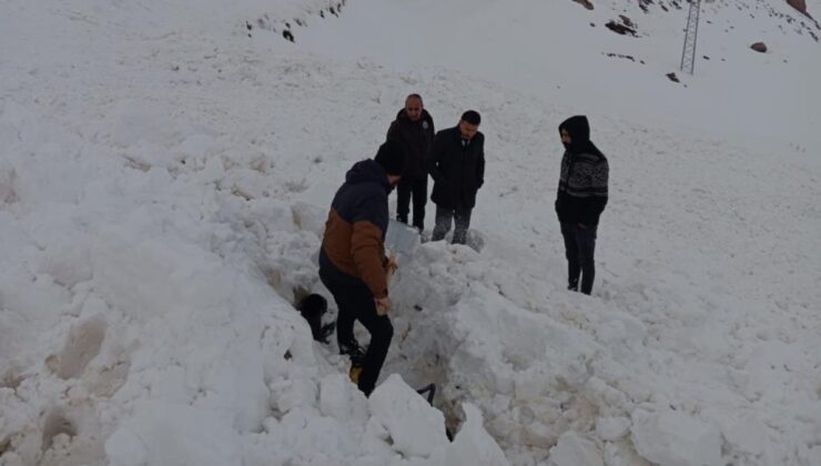 Şırnak’ta çığ düştü: Kepçe operatörü ölümden döndü