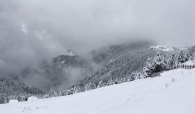 Van’da çığ altında kalan adam hayatını kaybetti